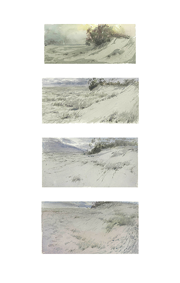 Dune Studies by Scott  Breton | Lethbridge Gallery